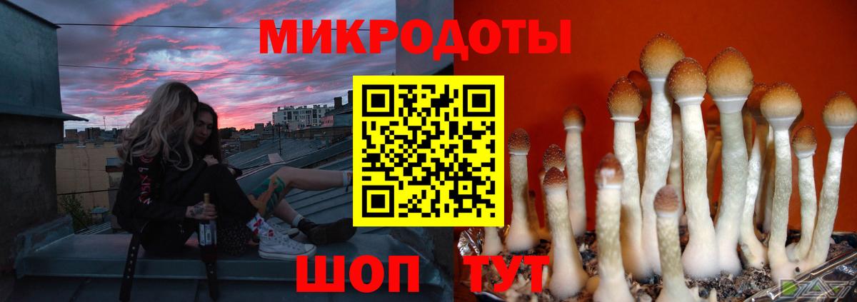Галлюциногенные грибы MAGIC MUSHROOMS  закладки  Бугульма  Вход с VPN 